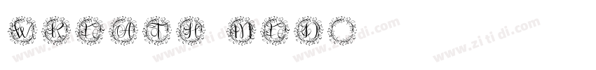Wreath Med字体转换